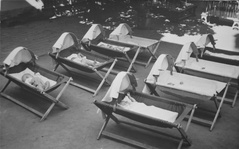 Linkki suurennokseen Selainasetukset estävät kuvien näyttämisen