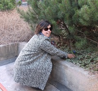 Selainasetukset estävät kuvien näyttämisen