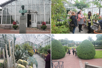 Selainasetuksesi estävät kuvien näyttämisen